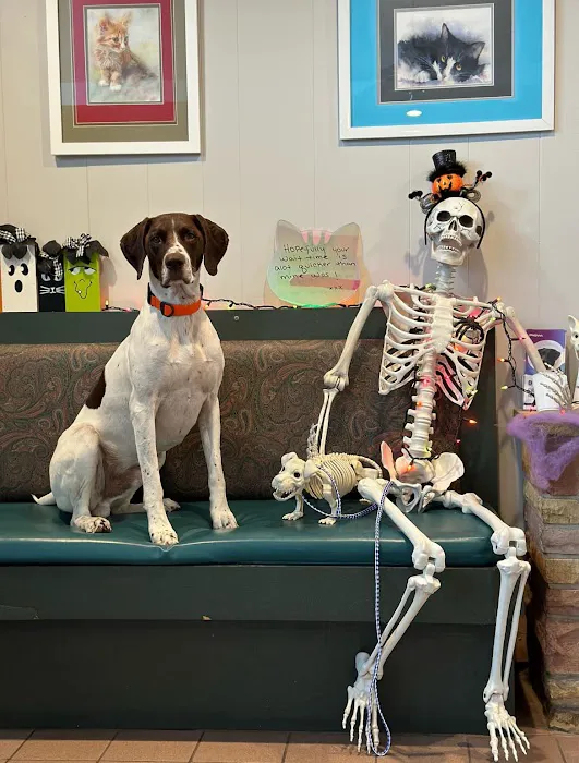 Huntington Animal Hospital 6