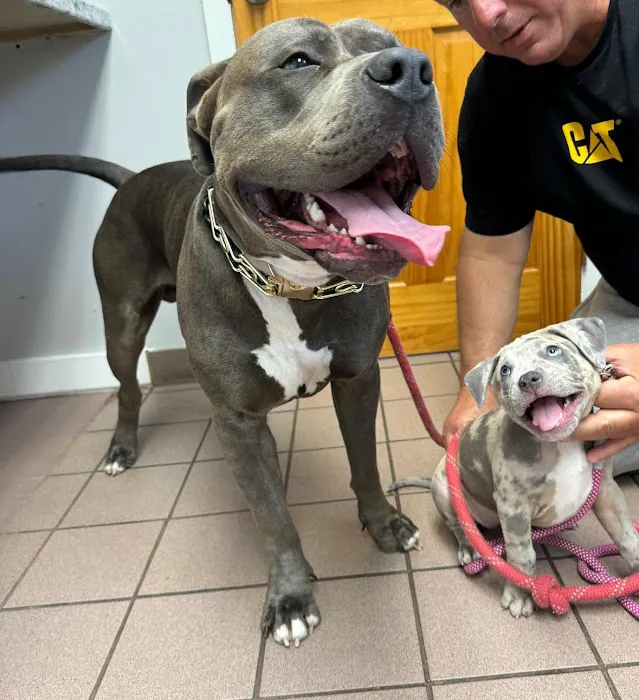 Huntington Animal Hospital 4