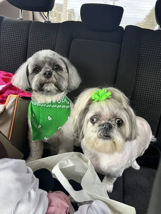 Huntington Animal Hospital 1