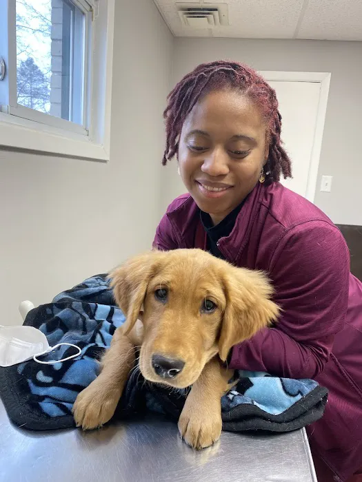 Huntington Animal Hospital 8