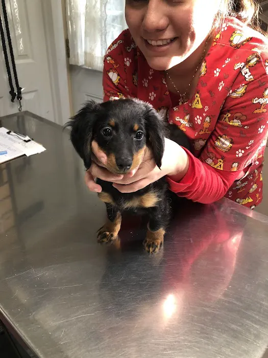 The Animal center LI 1