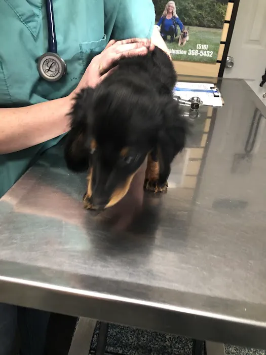 The Animal center LI 6