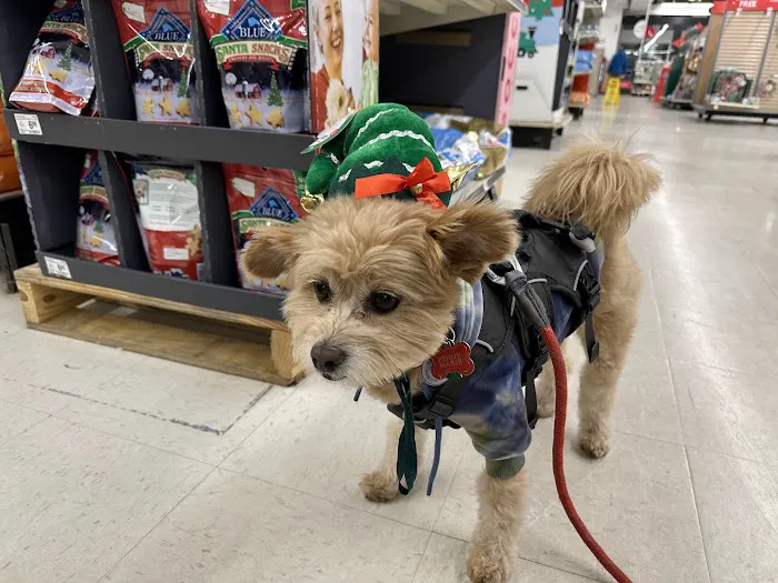 Banfield Pet Hospital 9