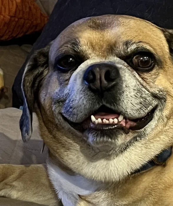 Banfield Pet Hospital 3