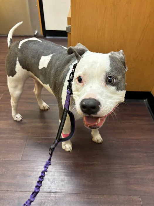 Banfield Pet Hospital 7