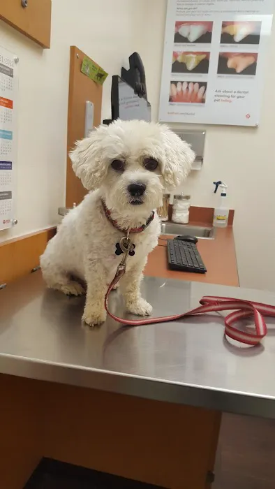 Banfield Pet Hospital 4