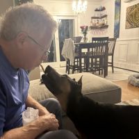 Wantagh Animal Hospital ico