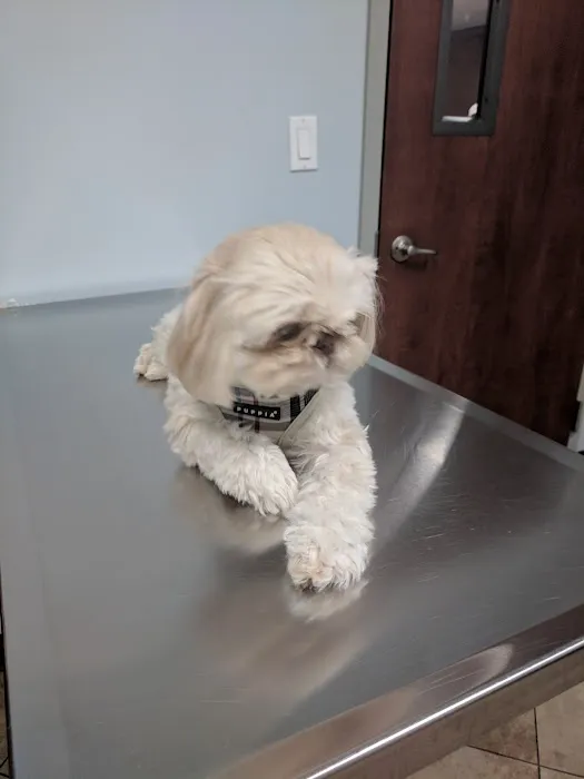 Bellmore Veterinary Hospital 8