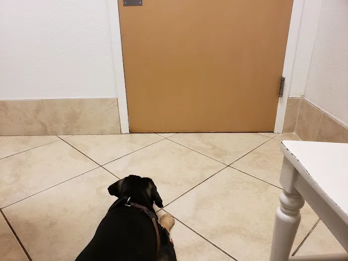 Companions Animal Hospital 2