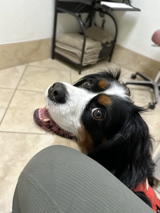 Companions Animal Hospital 8