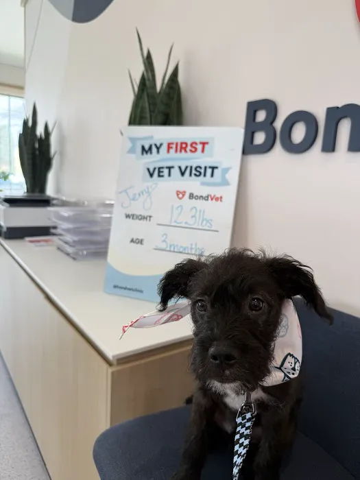 Bond Vet - Merrick 2