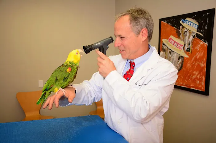 East Bay Veterinary Hospital 10