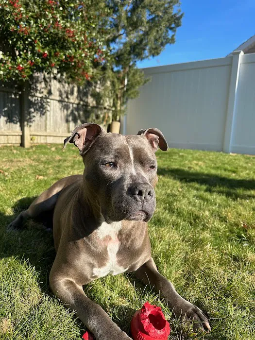East Bay Veterinary Hospital 7