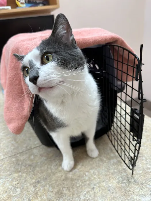 East Bay Veterinary Hospital 3