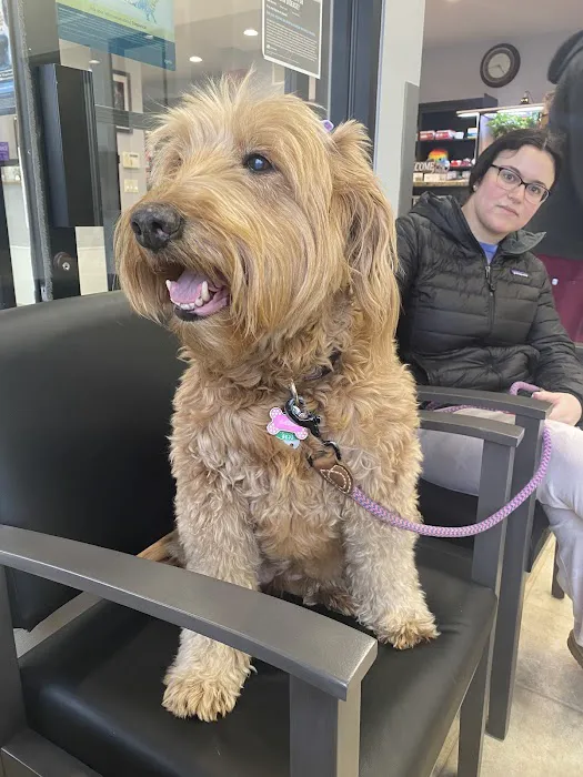 South Bellmore Veterinary Group 9