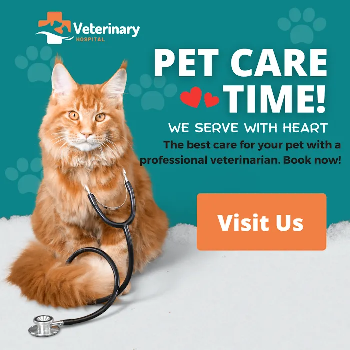 Veterinary Hospital 1