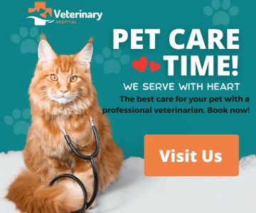 Veterinary Hospital