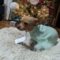 Miller Clark Animal Hospital ico
