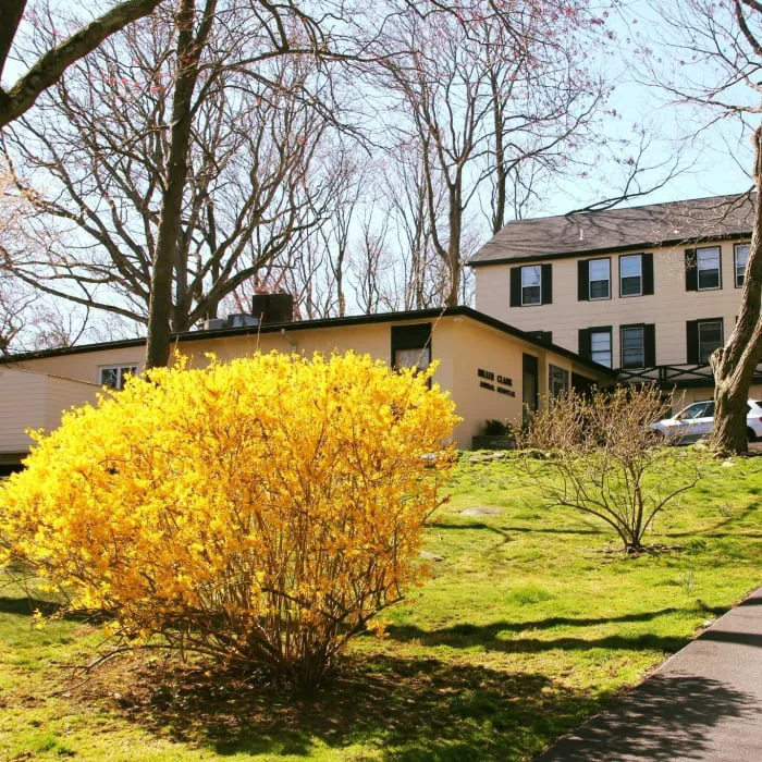 Miller Clark Animal Hospital 7