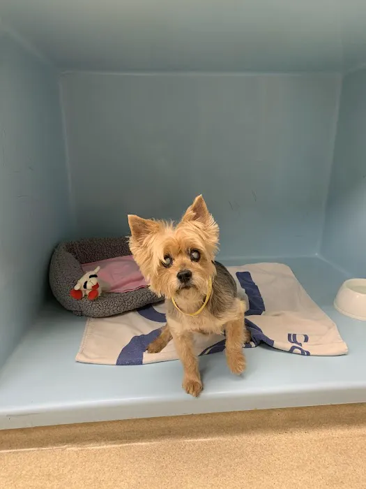 Meadow Veterinary Hospital 1