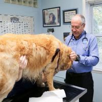 Rye Harrison Veterinary Hospital ico
