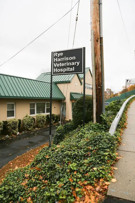 Rye Harrison Veterinary Hospital 7