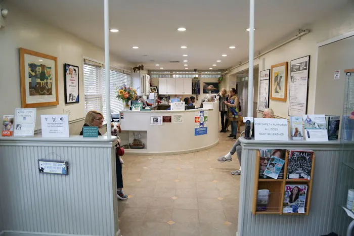 Rye Harrison Veterinary Hospital 6