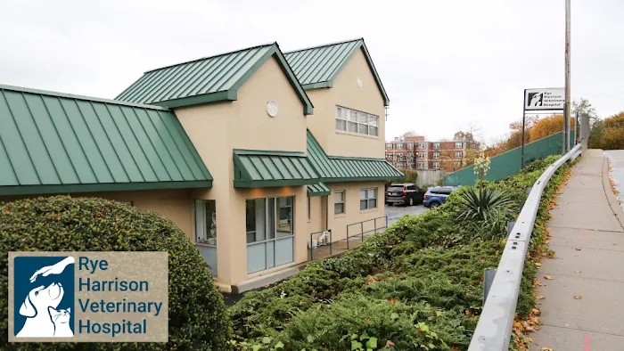 Rye Harrison Veterinary Hospital 9