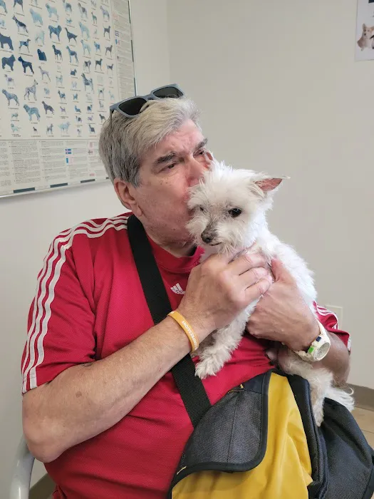 Rye Harrison Veterinary Hospital 1