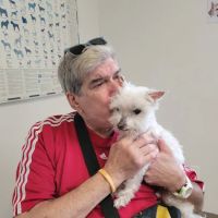 Rye Harrison Veterinary Hospital ico