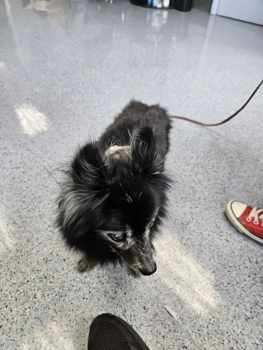 Bergenline Animal Hospital PA 2