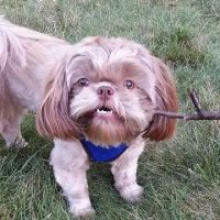 Bergenline Animal Hospital PA ico