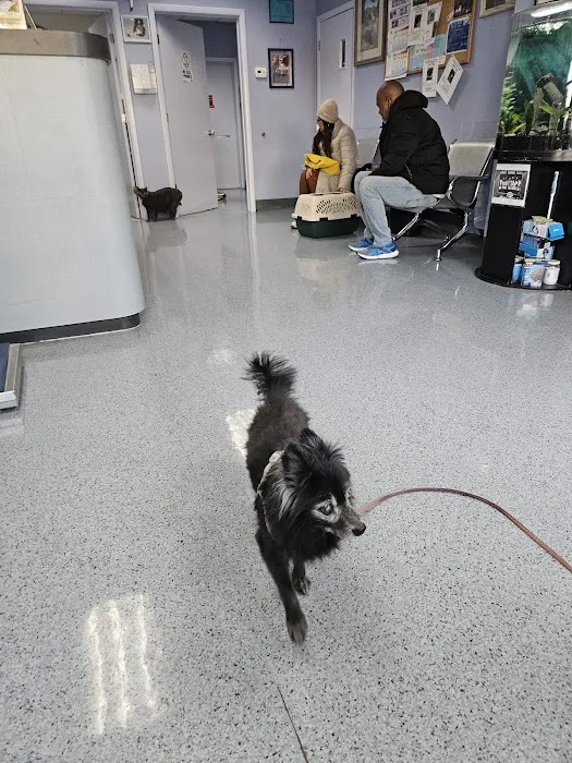 Bergenline Animal Hospital PA 4