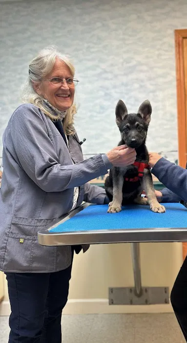 Mills River Animal Clinic 9