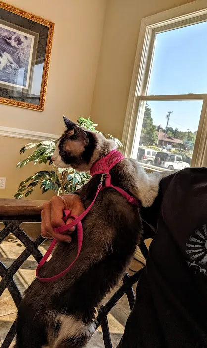 Etowah Valley Veterinary Hospital 2