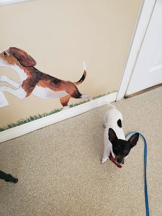Etowah Valley Veterinary Hospital 6