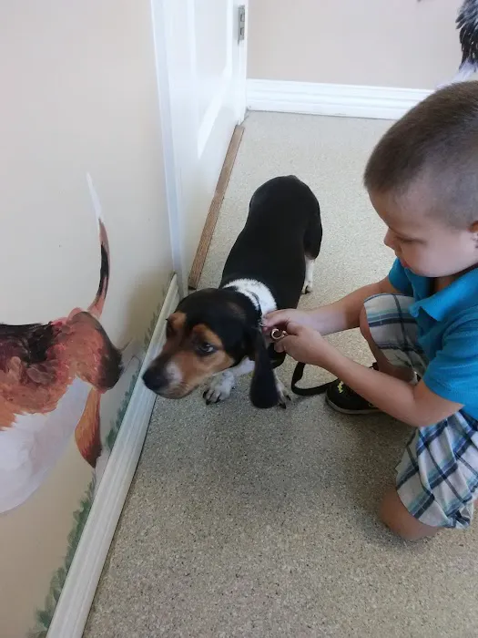 Etowah Valley Veterinary Hospital 10