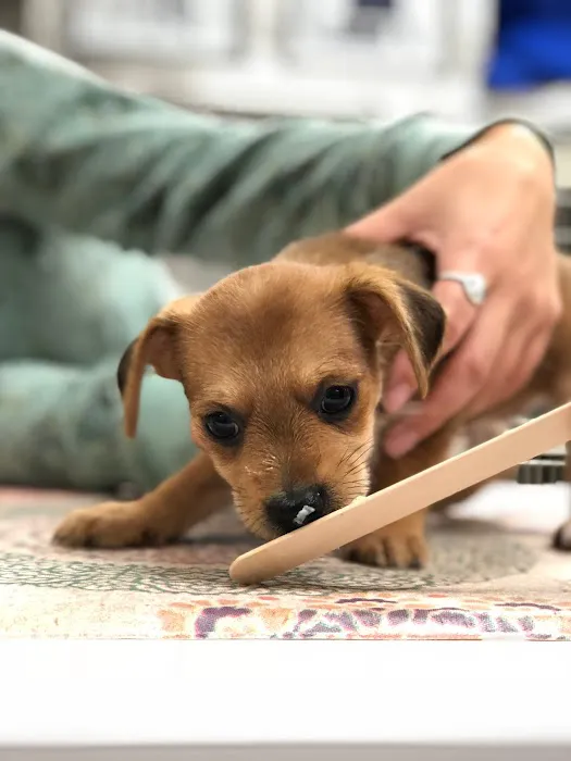 WNC Veterinary Hospital 3