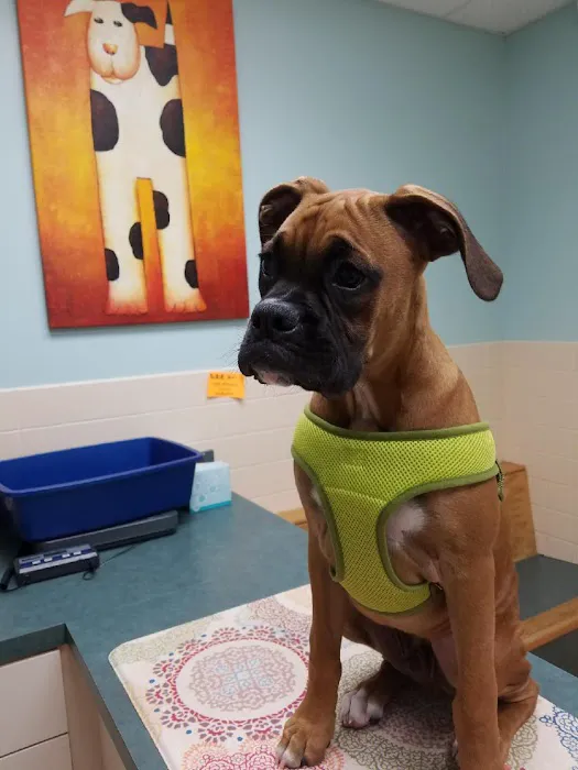 WNC Veterinary Hospital 4