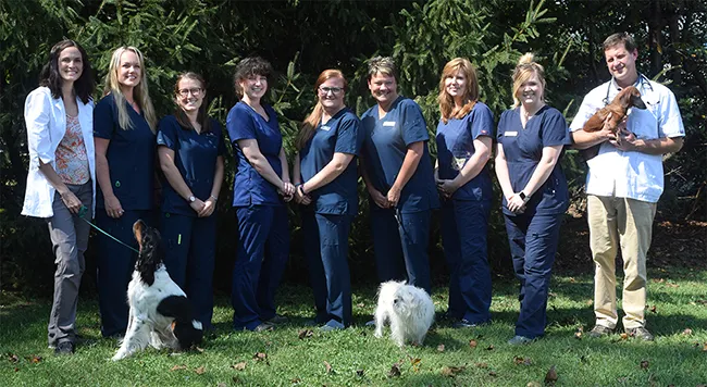 WNC Veterinary Hospital 5