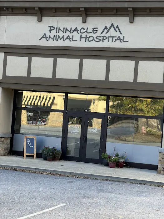 Pinnacle Animal Hospital 10