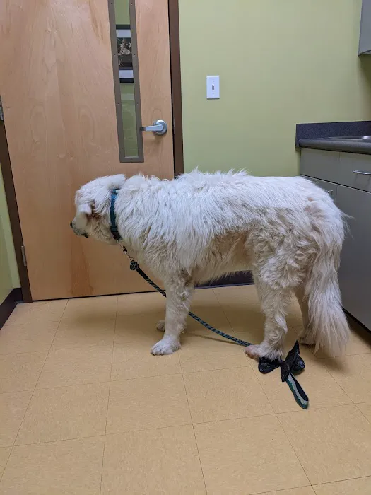 Pinnacle Animal Hospital 3