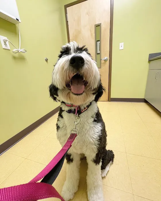 Pinnacle Animal Hospital 9
