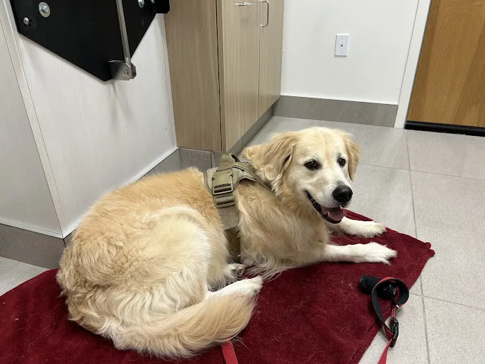 Partners Animal Hospital Asheville 4