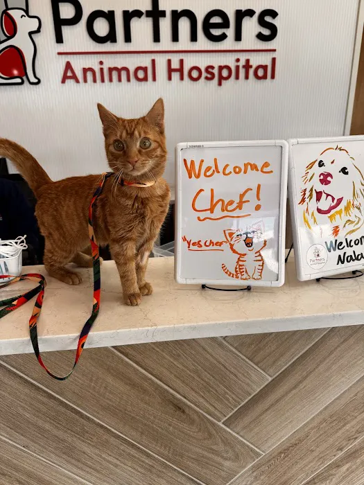 Partners Animal Hospital Asheville 9