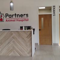 Partners Animal Hospital Asheville ico
