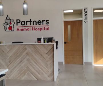Partners Animal Hospital Asheville