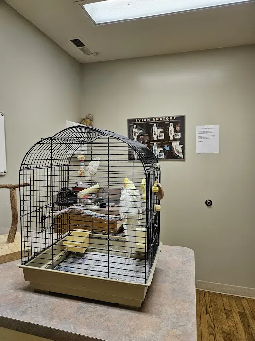 Sweeten Creek Animal and Bird Hospital 8