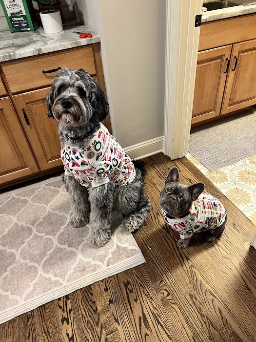 Avery Creek Pet Hospital 10