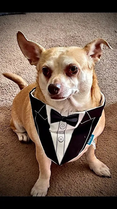 Avery Creek Pet Hospital 3